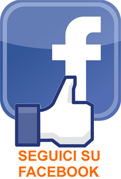 facebook-logo-big-2